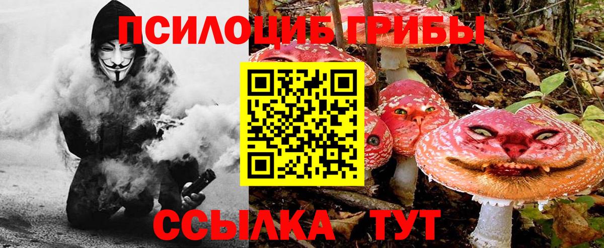 Галлюциногенные грибы GOLDEN TEACHER Кемерово