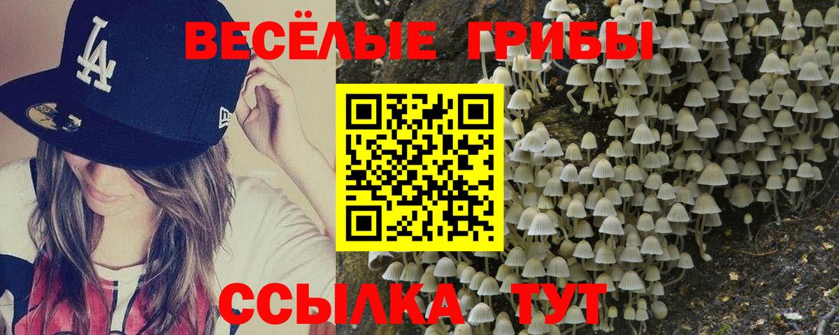 Кемерово  Псилоцибиновые грибы мухоморы  Вход с VPN  Псилоцибиновые грибы ЛСД 