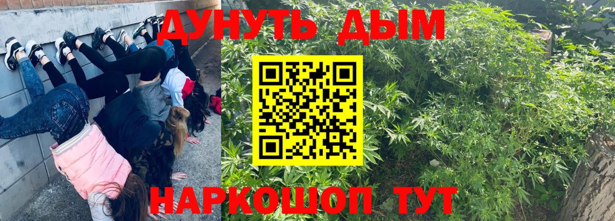 Конопля LSD WEED  Вход с VPN  Конопля ГИДРОПОН  Бошки Шишки конопля  Кемерово 